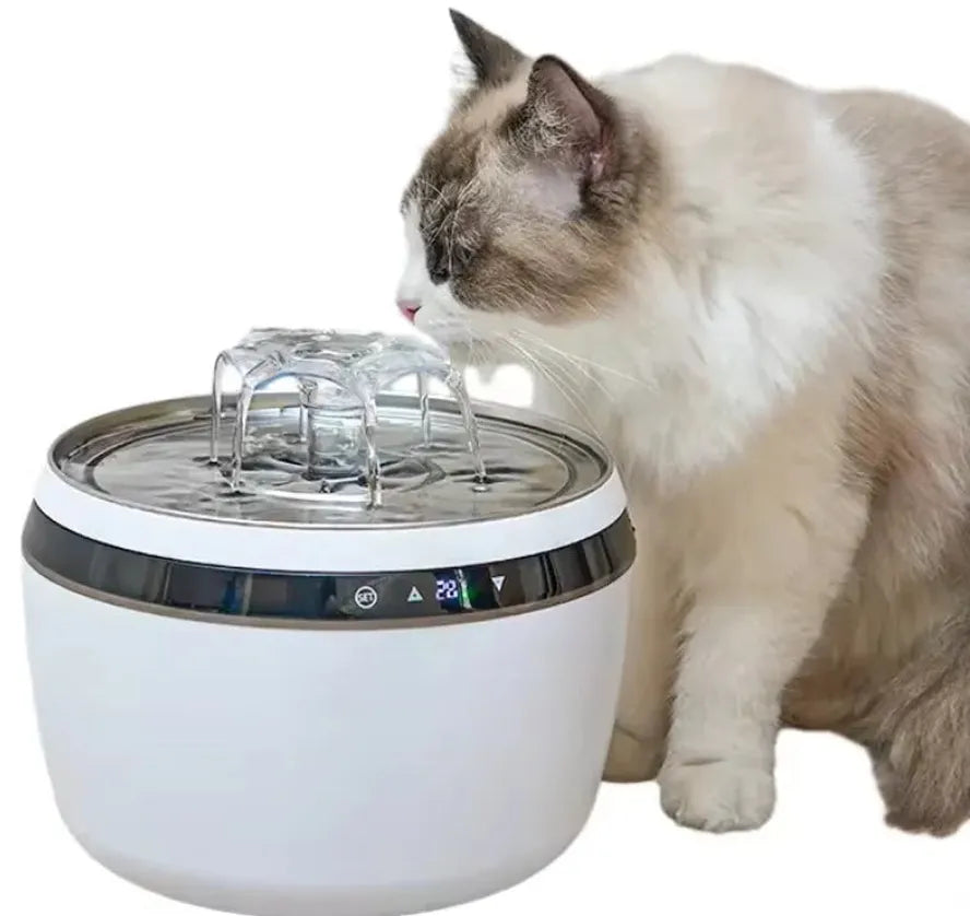 KTM-390035 Automatic 304 Stainless Steel Cat Water Dispenser with Temperature Control