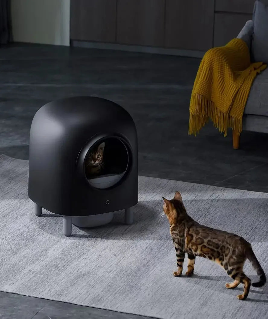 KTM-898323 Automatic Self-Cleaning Cat Litter Box with APP Control for Hassle-Free Maintenance
