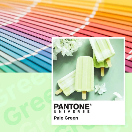 KTM-237971 A4 70gsm Green Coloured Copy Paper for Office Printing, Drawing, and Writing