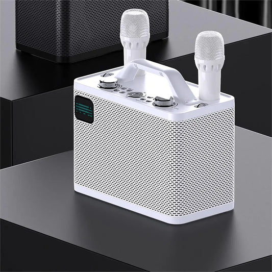 KTM-390355 Portable 80W Wireless Karaoke Speaker for Home Entertainment